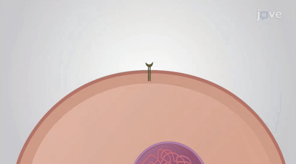 Microbio_2