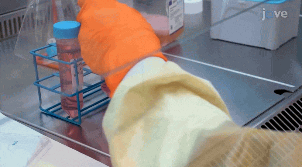 Video training gif 1 (1)-1