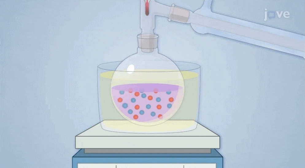 Video training gif 2 (1)-1