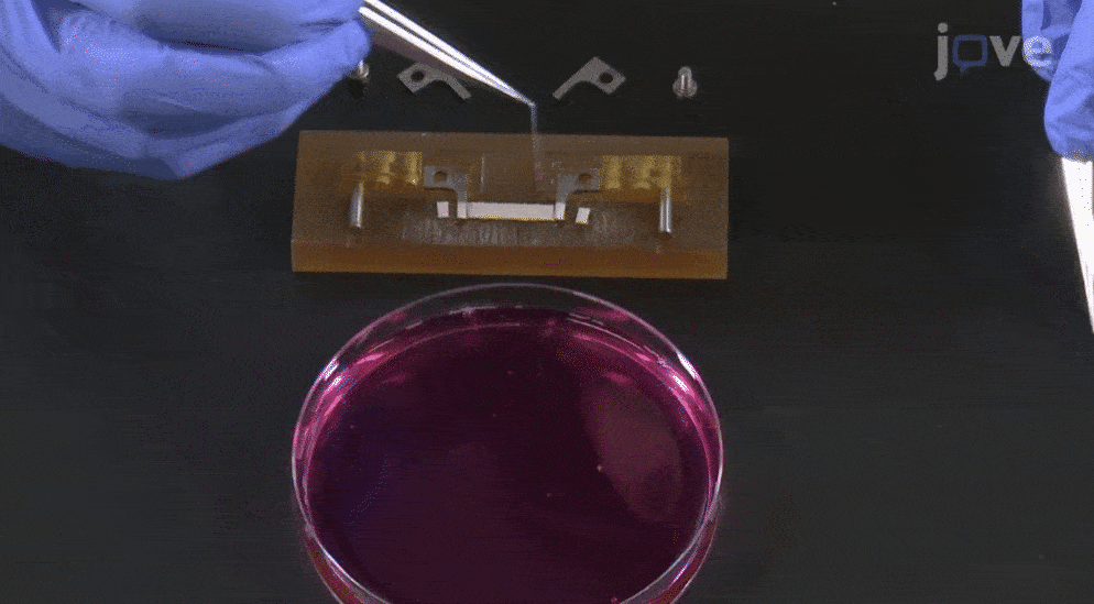 Video training gif 3 (1)-1