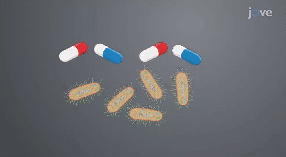 Synergism: Combined effects of drugs